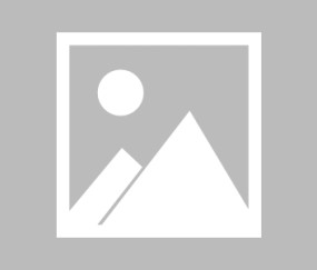 塔帅最强阵雏形初现 大厂攻防演练三枪射落喜鹊